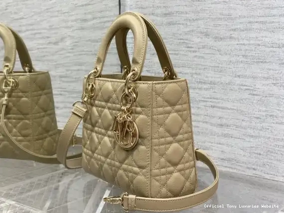 Tony Luxuries diro Lady Small Calfskin-20-16.5-8CM 0504